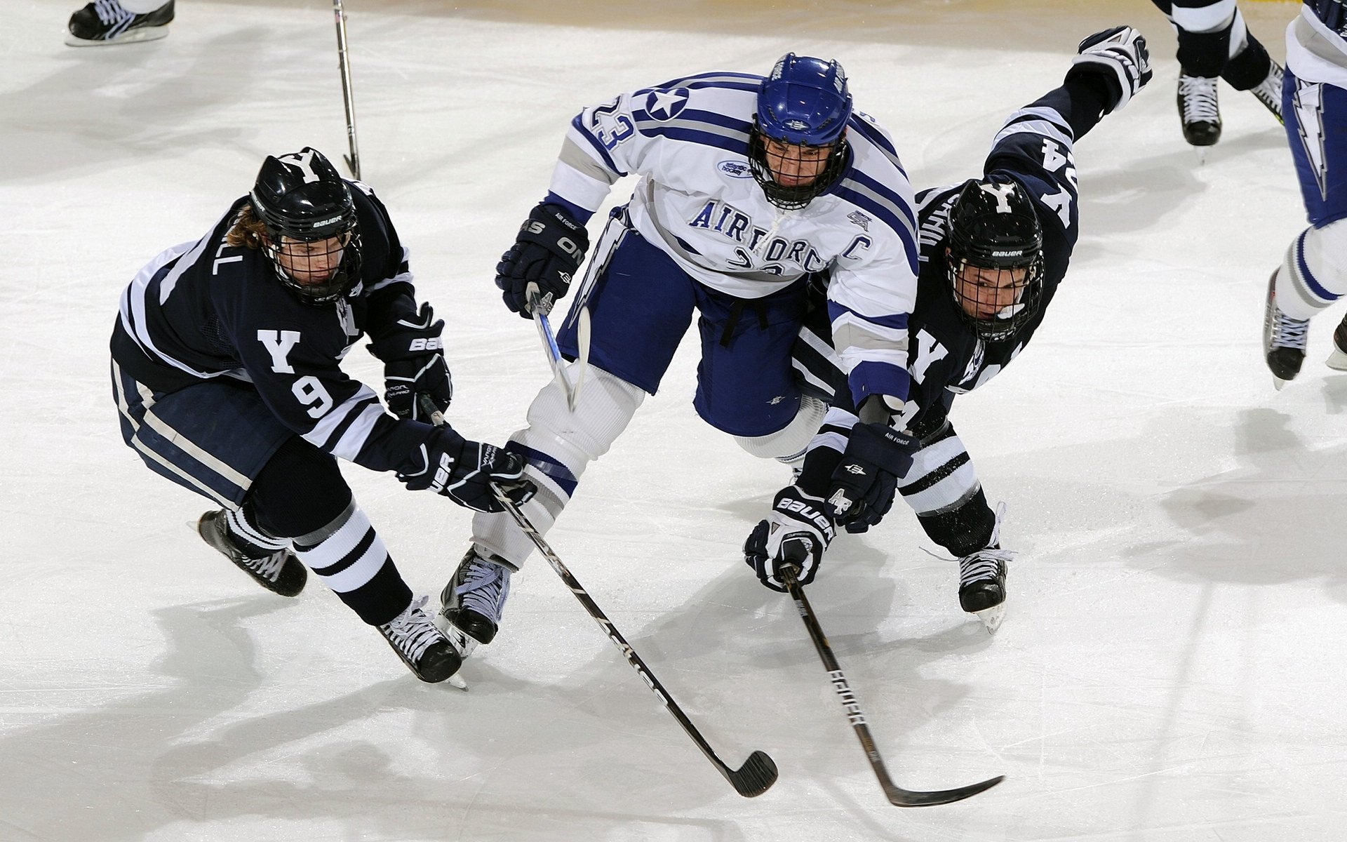 国际综合格斗联盟宣布新量级 金腰带争夺战排期已定